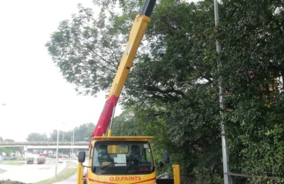 ANC-9588-ABNER